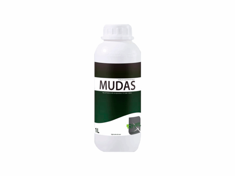 Mudas